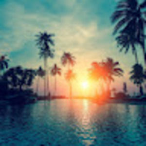 Meet your Posher, Alia